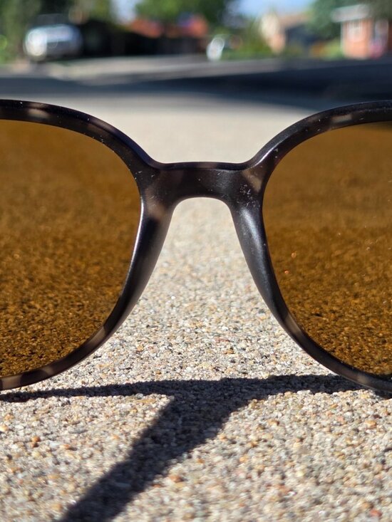 Smith Cheetah Polarized Sunglasses